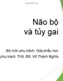 Bài giảng Não bộ và tủy gai - ThS. BS. Võ Thành Nghĩa