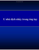 U nhú dịch nhầy trong ống tụy