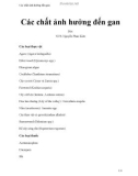 Các chất ảnh hưởng đến gan