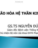 Bài giảng Lão hóa hệ thần kinh