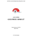 Giáo trình Giải phẫu sinh lý (Ngành: Dược - Trình độ: Cao đẳng) - CĐ Phạm Ngọc Thạnh Cần Thơ