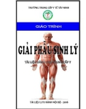 Giáo trình Giải phẫu sinh lý (Tài liệu dành cho Trung cấp y) - Trường Trung cấp Y tế Tây Ninh