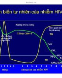 Bài giảng điều trị HIV : SINH BỆNH HỌC VÀ DIỄN BIẾN TỰ NHIÊN CỦA NHIỄM HIV part 5