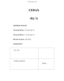 CEDAX (Kỳ 1)