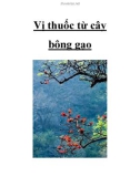 Vị thuốc từ cây bông gạo