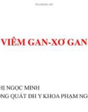 Bài giảng Viêm gan - xơ gan