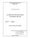 Luận văn Thạc sĩ Luật học: Các hình thức đồng phạm trong luật hình sự Việt Nam