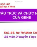 CẤU TRÚC VÀ CHỨC NĂNG GENE