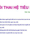 Phôi thai hệ tiêu hóa