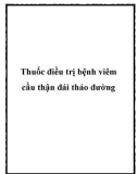 Thuốc điều trị bệnh viêm cầu thận đái tháo đường