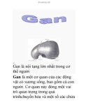 Tài liệu: Gan