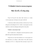 Vi Khuẩn Listeria monocytogenes Một vấn đề y tế công cộng