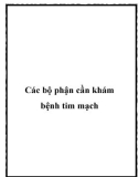 Các bộ phận cần khám bệnh tim mạch