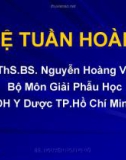 Bài giảng Giải phẫu học: Hệ tuần hoàn - ThS.BS. Nguyễn Hoàng Vũ