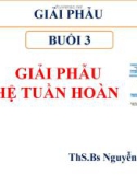 Bài giảng Giải phẫu: Buổi 3 - ThS.BS. Nguyễn Duy Tài