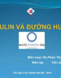 Bài giảng Insulin và đường huyết