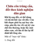 Chữa côn trùng cắn, đốt theo kinh nghiệm dân gian