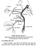 Thực hành lâm sàng thần kinh học tập 1 part 4