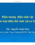 Bài giảng Hiện tượng điện sinh vật Các loại điện thế sinh vật cơ bản - ThS. Nguyễn Xuân Hoà