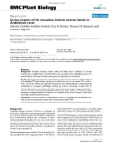 báo cáo khoa học: In vivo imaging of the tonoplast intrinsic protein family in Arabidopsis roots