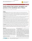 Báo cáo y học: Small ruminant feed systems: perceptions and practices in the transitional zone of Ghan