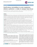 Báo cáo y học: Small airway remodeling in acute respiratory distress syndrome: a study in autopsy lung tissue