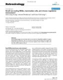 Báo cáo y học: Small non-coding RNAs, mammalian cells, and viruses: regulatory interactions?