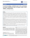 Báo cáo y học: A novel envelope mediated post entry restriction of murine leukaemia virus in human cells is Ref1/ TRIM5a independen