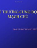 Bài giảng Bất thường cung động mạch chủ - ThS.BS. Phan Hoàng Thủy Tiên