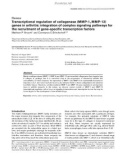 Báo cáo y học: Transcriptional regulation of collagenase (MMP-1, MMP-13) genes in arthritis: integration of complex signaling pathways for the recruitment of gene-specific transcription factor