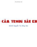 Bài giảng Vô cảm trong sản khoa