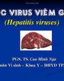 Bài giảng Vi sinh: Các virus viêm gan - PGS.TS. Cao Minh Nga