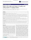 báo cáo khoa học: What is the value and impact of quality and safety teams? A scoping review