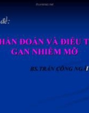 Bài giảng Chẩn đoán và điều trị gan nhiễm mỡ