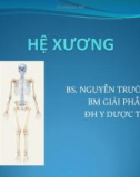 Bài giảng Giải phẫu học: Hệ xương - BS. Nguyễn Trường Kỳ