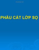 Bài giảng Giải phẫu cắt lớp sọ não