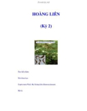 HOÀNG LIÊN (Kỳ 2)