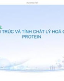 Đề tài: Cấu trúc và tính chất lý hoá của protein