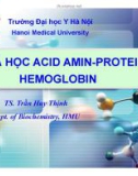 Bài giảng Hóa học Axit amin-Protein-Hemoglobin - TS. Trần Huy Thịnh