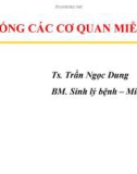 HỆ THỐNG CÁC CƠ QUAN MIỄN DỊCH