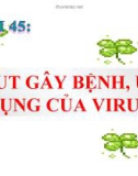 Bài giảng điện tử môn sinh học: Virut