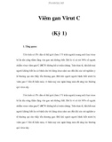 Viêm gan Virut C (Kỳ 1)