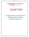 LUẬN VĂN: Kỹ thuật giấu tin trong ảnh SES (Steganography Evading Statistical Analyses)