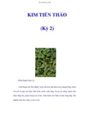 KIM TIỀN THẢO (Kỳ 2)