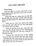 Chữa bệnh bằng cây lá quanh nhà (Phần 3)