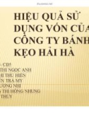 Thuyết trình: Hiệu quả sử dụng vốn của công ty bánh kẹo Hải Hà