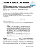 Báo cáo y học: Central retinal artery occlusion and non-arteritic anterior ischemic optic neuropathy associated with an overlap syndrome: a case report