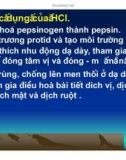 Bài giảng đại cương sinh lý tiêu hóa part 6