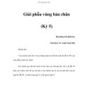 Giải phẫu vùng bàn chân (Kỳ 5)