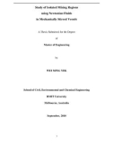 Master's thesis of Engineering: Study of isolated mixing regions using Newtonian fluids in mechanically stirred vessels